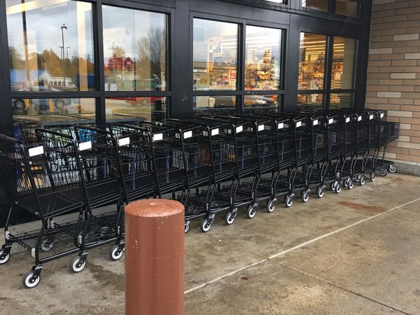 Carts at Store
